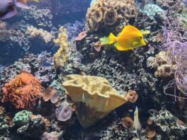 Kinderkulturwoche 2025 / various locations, Linz