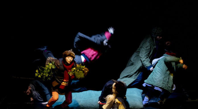 tanz_house Festival 2025 / Salzburg