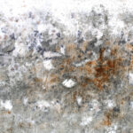 Environmental Art Award: Camilla Alberti – Feeding the Ghost / Kunsthaus Graz, Styria