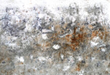 Umweltkunstpreis: Camilla Alberti – Feeding the Ghost / Kunsthaus Graz, Steiermark