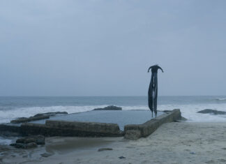 Jojo Gronostay – The Elephants / studio, Neue Galerie Graz