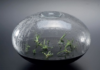 Nature | Feeling | Form – If Susanne Langer had met Alex Langer / Austrian Cultural Forum Milan