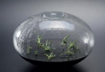 Nature | Feeling | Form – Hätte Susanne Langer Alex Langer getroffen / Österreichisches Kulturforum Mailand