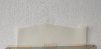 ANDREA PESENDORFER | Taste Is Never Neutral: Geschmack ist politisch / Bildraum 07, Wien