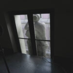 Kunsthalle Wien Prize 2025 / Kunsthalle Wien, Vienna