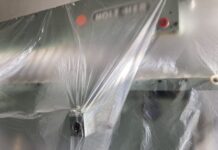 Veronika Eberhart: “Alles pelt zich” / Kulturforum Brüssel