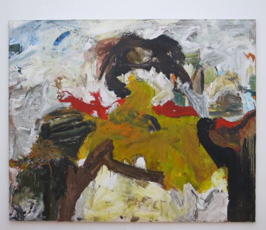 Rainer Rainer – Im Keller / Künstlerhaus Palais Thurn und Taxis Bregenz