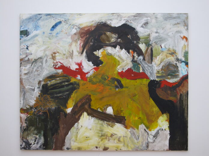 Rainer Rainer, Foto © Werner Marxx Bosch