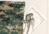 Zechner & Serrano – CAMUFLAJES / Neue Galerie Graz