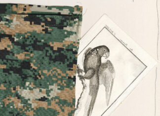 Zechner & Serrano – CAMUFLAJES / Neue Galerie Graz