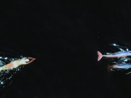 Emilija Škarnulytė – Waters call me home / Kunsthaus Graz, Steiermark