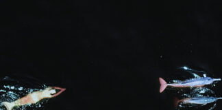 Emilija Škarnulytė – Waters call me home / Kunsthaus Graz, Steiermark