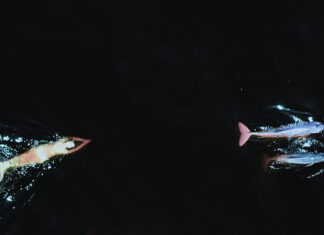 Emilija Škarnulytė – Waters call me home / Kunsthaus Graz, Steiermark