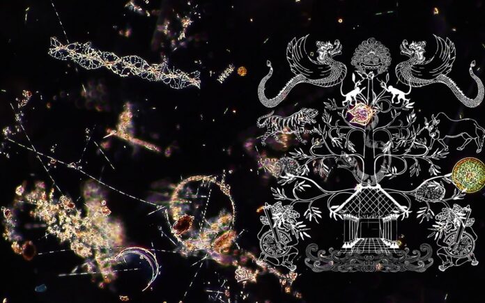 © 2023 Indah Arsyad