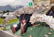 Monat der Fotografie 2025 – Reiner Riedler: This Side of Paradise / Österreichisches Kulturforum Bratislava