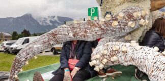 Monat der Fotografie 2025 – Reiner Riedler: This Side of Paradise / Österreichisches Kulturforum Bratislava