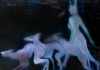 Susanna Katter – Tales of My Dreams / Schaumbad – Freies Atelierhaus Graz