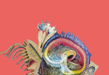 WAS ZWISCHEN UNS WÄCHST / SOHO STUDIOS – Art Space Vienna, Wien