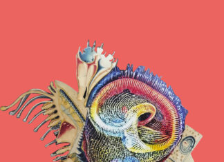 WAS ZWISCHEN UNS WÄCHST / SOHO STUDIOS – Art Space Vienna, Wien