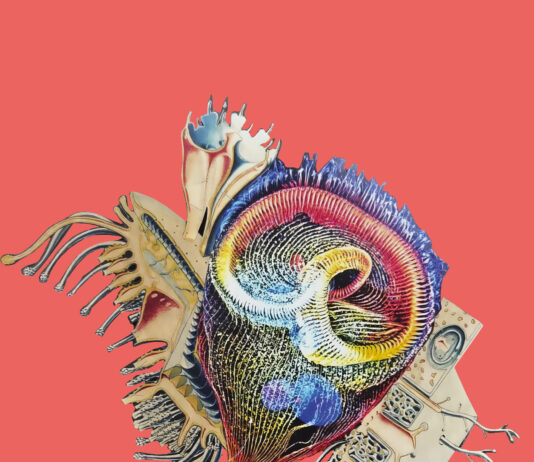 WAS ZWISCHEN UNS WÄCHST / SOHO STUDIOS – Art Space Vienna, Wien