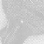 Rubén Ezequiel Löwy – Breaking and Entering / AG18 Gallery, Wien