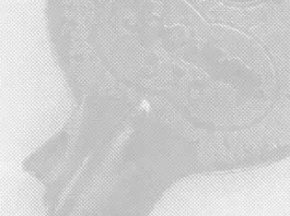 Rubén Ezequiel Löwy – Breaking and Entering / AG18 Gallery, Wien