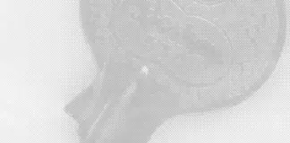 Rubén Ezequiel Löwy – Breaking and Entering / AG18 Gallery, Wien