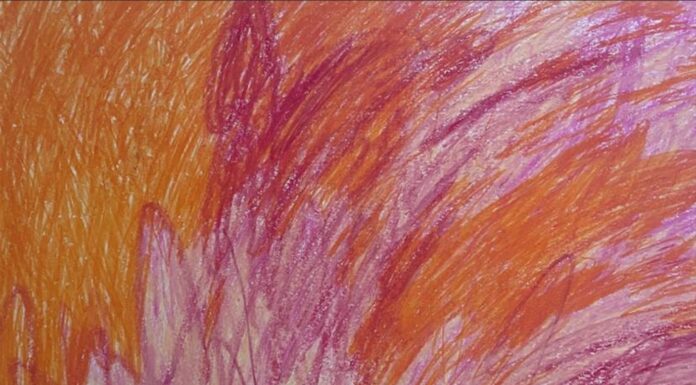 AUGENBLÜHEN – Bilder von Marigona Kabashi / Galerie der Kulturformen, Linz