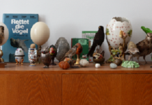 Multimedia exhibition / Austrian Cultural Forum Milan