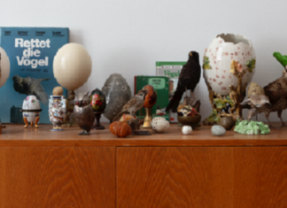 Multimediale Ausstellung / Österreichisches Kulturforum Mailand
