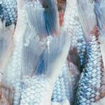 Unerwartete Fische auf schönen Dächern / MQ Angewandte Schauraum, Wien