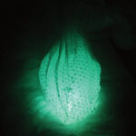 Isabell Rauchenbichler. And the Flowers Are Melting / Salzburger Kunstverein, Salzburg