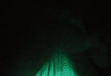 Isabell Rauchenbichler. And the Flowers Are Melting / Salzburger Kunstverein, Salzburg