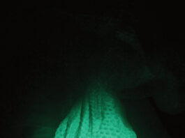 Isabell Rauchenbichler. And the Flowers Are Melting / Salzburger Kunstverein, Salzburg