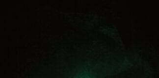 Isabell Rauchenbichler. And the Flowers Are Melting / Salzburger Kunstverein, Salzburg