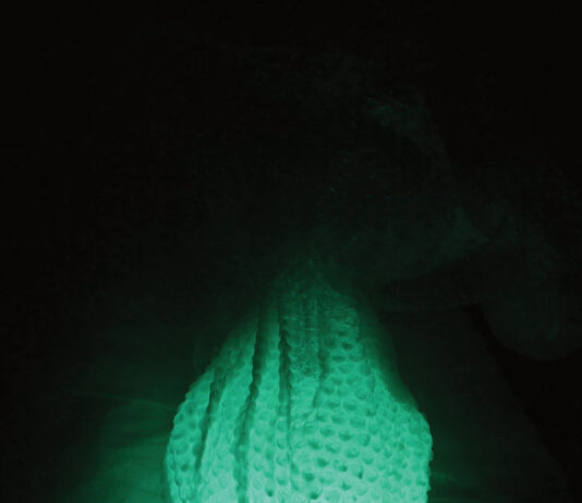 Isabell Rauchenbichler. And the Flowers Are Melting / Salzburger Kunstverein, Salzburg