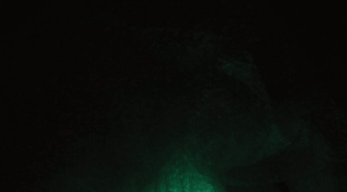 Isabell Rauchenbichler. And the Flowers Are Melting / Salzburger Kunstverein, Salzburg