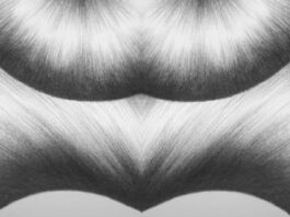 LAVINIA LANNER | Slide Show / Bildraum 01, Wien