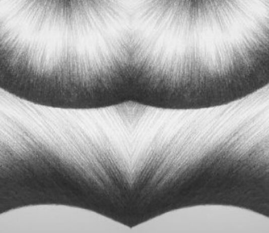 LAVINIA LANNER | Slide Show / Bildraum 01, Wien