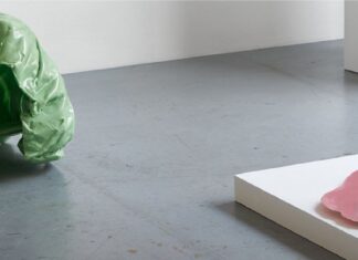 EDUARD TAUSS | Selbstdarstellung / Bildraum 07, Wien