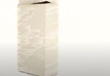 Philipp Leissing & Sophie Dvořák / Bildraum Bodensee, Vorarlberg