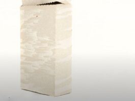 Philipp Leissing & Sophie Dvořák / Bildraum Bodensee, Vorarlberg