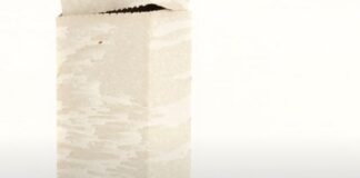 Philipp Leissing & Sophie Dvořák / Bildraum Bodensee, Vorarlberg