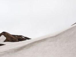 KATJA HASENÖHRL & LORENA SENDIC SILVERA | Im Licht des Nordens / Bildraum 01, Wien
