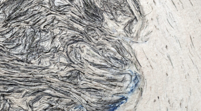 „Komuna Maro“ / off_gallery & raum, Graz