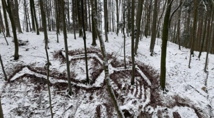 Christian Eisenberger / Akademie Graz, Steiermark
