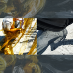 OUT OF THE DARK – INTO FREEDOM / Schaumbad – Freies Atelierhaus Graz