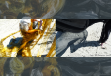 OUT OF THE DARK – INTO FREEDOM / Schaumbad – Freies Atelierhaus Graz