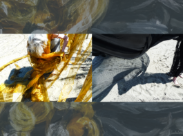 OUT OF THE DARK – INTO FREEDOM / Schaumbad – Freies Atelierhaus Graz