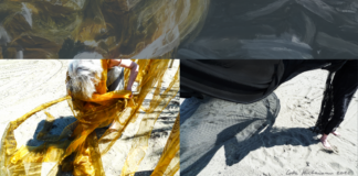 OUT OF THE DARK – INTO FREEDOM / Schaumbad – Freies Atelierhaus Graz